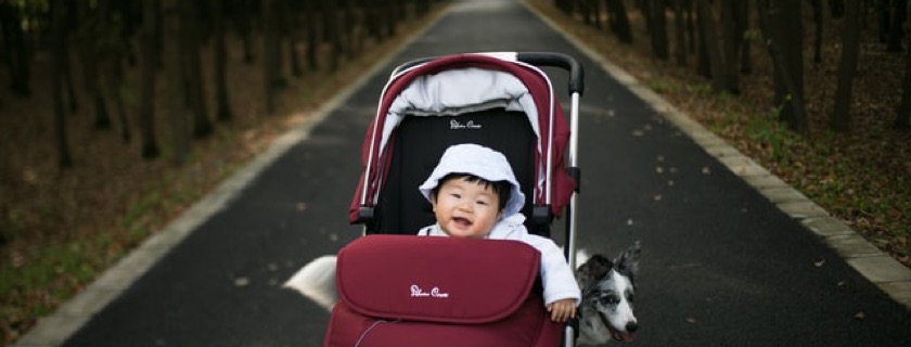 Baby Product Reviews - Stroller